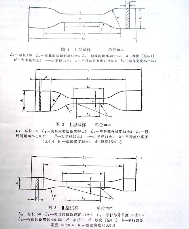 电子成人免费视频国产免费麻豆